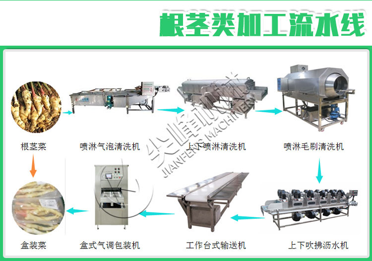 葉菜類鮮切凈菜加工設備