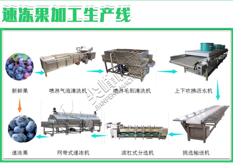 葉菜類鮮切凈菜加工設備